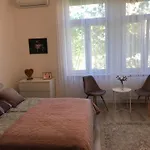 Apartmán A Lovley Newly Decorated Fully Equipped Walking Distance To The Park Where Will Find The World Famous Szechenyi Thermal Bath Spa, Museums , And The Capital Circus , Ac, Smart Tv, High Speed Internet Budapešť
