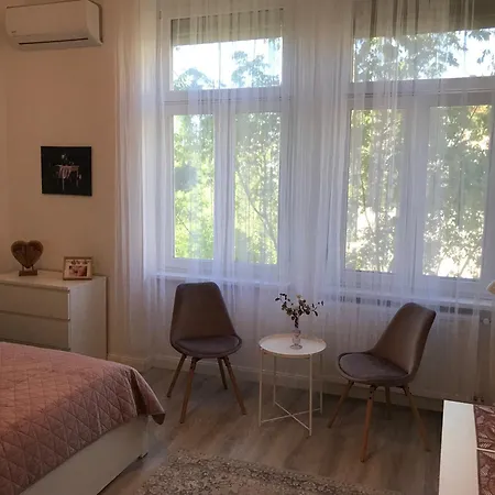 A Lovley Newly Decorated Fully Equipped Walking Distance To The Park Where Will Find The World Famous Szechenyi Thermal Bath Spa, Museums , And The Capital Circus , Ac, Smart Tv, High Speed Internet Apartmán *