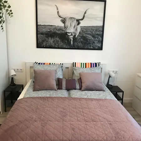 A Lovley Newly Decorated Fully Equipped Walking Distance To The Park Where Will Find The World Famous Szechenyi Thermal Bath Spa, Museums , And The Capital Circus , Ac, Smart Tv, High Speed Internet Appartement Boedapest