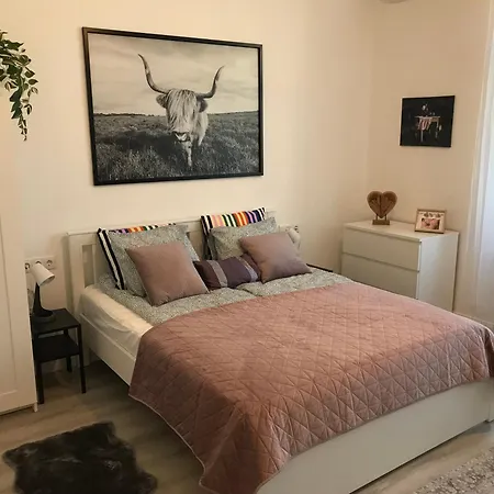 A Lovley Newly Decorated Fully Equipped Walking Distance To The Park Where Will Find The World Famous Szechenyi Thermal Bath Spa, Museums , And The Capital Circus , Ac, Smart Tv, High Speed Internet *