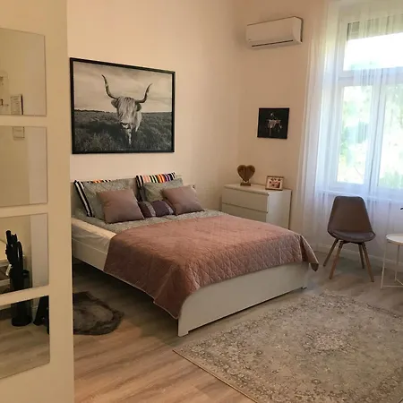 A Lovley Newly Decorated Fully Equipped Walking Distance To The Park Where Will Find The World Famous Szechenyi Thermal Bath Spa, Museums , And The Capital Circus , Ac, Smart Tv, High Speed Internet Budapešť