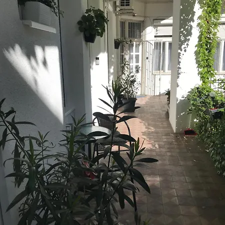 A Lovley Newly Decorated Fully Equipped Walking Distance To The Park Where Will Find The World Famous Szechenyi Thermal Bath Spa, Museums , And The Capital Circus , Ac, Smart Tv, High Speed Internet Appartement