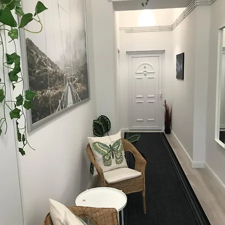 A Lovley Newly Decorated Fully Equipped Walking Distance To The Park Where Will Find The World Famous Szechenyi Thermal Bath Spa, Museums , And The Capital Circus , Ac, Smart Tv, High Speed Internet Appartement Boedapest