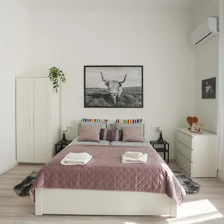 Apartmán A Lovley Newly Decorated Fully Equipped Walking Distance To The Park Where Will Find The World Famous Szechenyi Thermal Bath Spa, Museums , And The Capital Circus , Ac, Smart Tv, High Speed Internet Budapešť