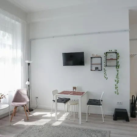 A Lovley Newly Decorated Fully Equipped Walking Distance To The Park Where Will Find The World Famous Szechenyi Thermal Bath Spa, Museums , And The Capital Circus , Ac, Smart Tv, High Speed Internet *