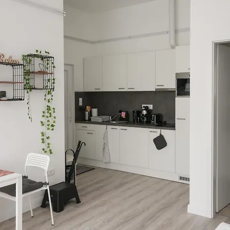 Apartmán A Lovley Newly Decorated Fully Equipped Walking Distance To The Park Where Will Find The World Famous Szechenyi Thermal Bath Spa, Museums , And The Capital Circus , Ac, Smart Tv, High Speed Internet Budapešť