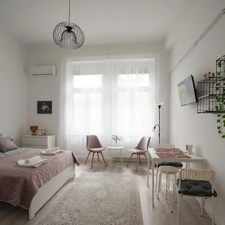 A Lovley Newly Decorated Fully Equipped Walking Distance To The Park Where Will Find The World Famous Szechenyi Thermal Bath Spa, Museums , And The Capital Circus , Ac, Smart Tv, High Speed Internet Boedapest
