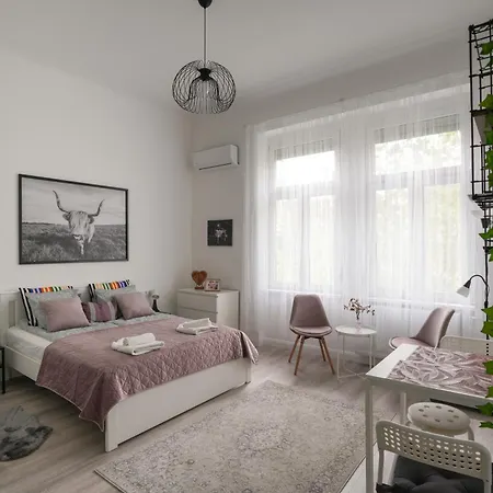 A Lovley Newly Decorated Fully Equipped Walking Distance To The Puskas Arena ,city Park Where Will Find The World Famous Szechenyi Thermal Bath Spa, Museums , And The Capital Circus , Ac, Smart Tv, High Speed Internet Lejlighed