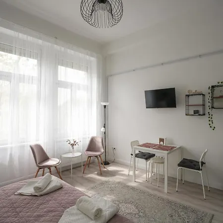 A Lovley Newly Decorated Fully Equipped Walking Distance To The Park Where Will Find The World Famous Szechenyi Thermal Bath Spa, Museums , And The Capital Circus , Ac, Smart Tv, High Speed Internet Apartmán Budapešť