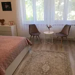 A Lovley Newly Decorated Fully Equipped Walking Distance To The Park Where Will Find The World Famous Szechenyi Thermal Bath Spa, Museums , And The Capital Circus , Ac, Smart Tv, High Speed Internet