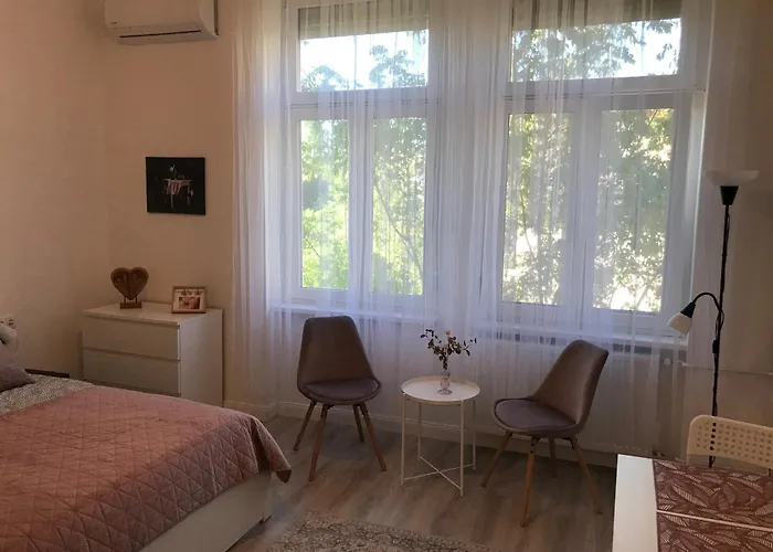 A Lovley Newly Decorated Fully Equipped Walking Distance To The Park Where Will Find The World Famous Szechenyi Thermal Bath Spa, Museums , And The Capital Circus , Ac, Smart Tv, High Speed Internet 公寓 *