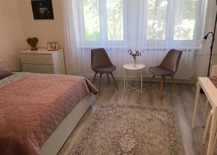 A Lovley Newly Decorated Fully Equipped Walking Distance To The Park Where Will Find The World Famous Szechenyi Thermal Bath Spa, Museums , And The Capital Circus , Ac, Smart Tv, High Speed Internet