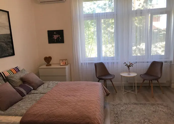 公寓 A Lovley Newly Decorated Fully Equipped Walking Distance To The Park Where Will Find The World Famous Szechenyi Thermal Bath Spa, Museums , And The Capital Circus , Ac, Smart Tv, High Speed Internet 布达佩斯