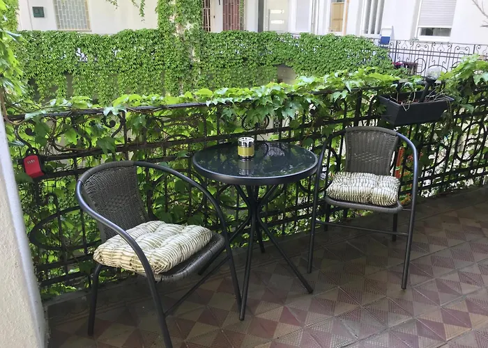 A Lovley Newly Decorated Fully Equipped Walking Distance To The Park Where Will Find The World Famous Szechenyi Thermal Bath Spa, Museums , And The Capital Circus , Ac, Smart Tv, High Speed Internet * 布达佩斯