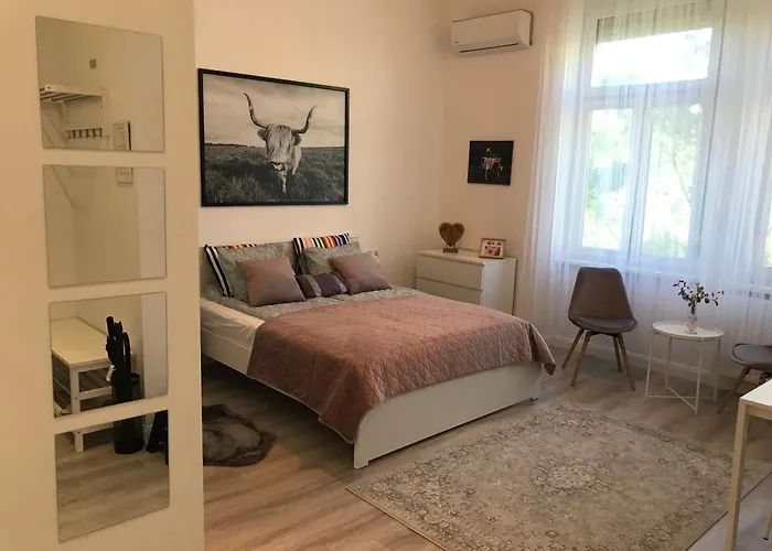 A Lovley Newly Decorated Fully Equipped Walking Distance To The Park Where Will Find The World Famous Szechenyi Thermal Bath Spa, Museums , And The Capital Circus , Ac, Smart Tv, High Speed Internet 布达佩斯