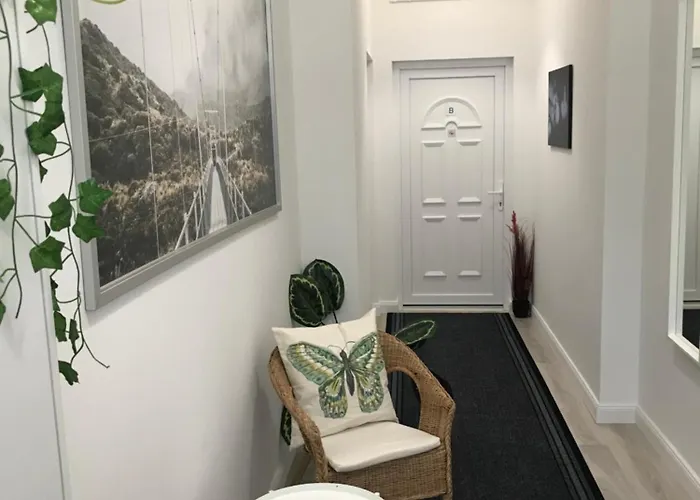 A Lovley Newly Decorated Fully Equipped Walking Distance To The Park Where Will Find The World Famous Szechenyi Thermal Bath Spa, Museums , And The Capital Circus , Ac, Smart Tv, High Speed Internet 公寓 布达佩斯