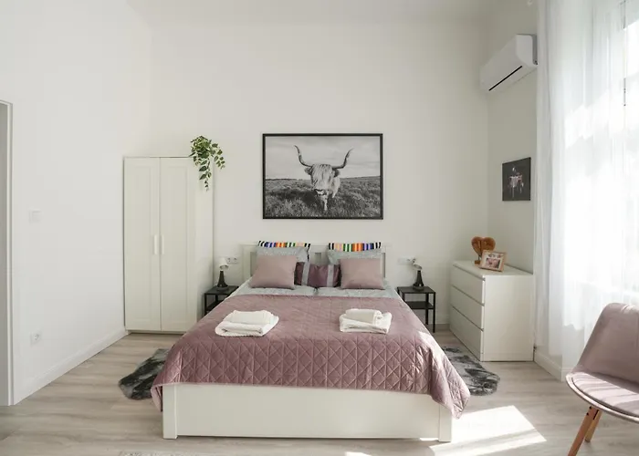 公寓 A Lovley Newly Decorated Fully Equipped Walking Distance To The Park Where Will Find The World Famous Szechenyi Thermal Bath Spa, Museums , And The Capital Circus , Ac, Smart Tv, High Speed Internet 布达佩斯