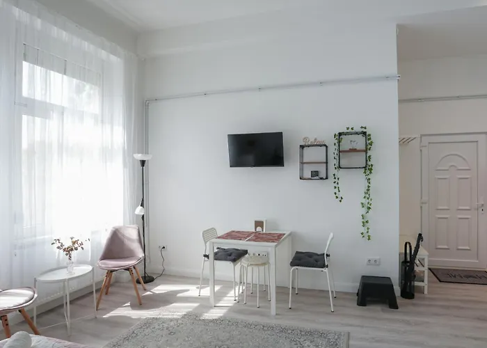 A Lovley Newly Decorated Fully Equipped Walking Distance To The Park Where Will Find The World Famous Szechenyi Thermal Bath Spa, Museums , And The Capital Circus , Ac, Smart Tv, High Speed Internet *