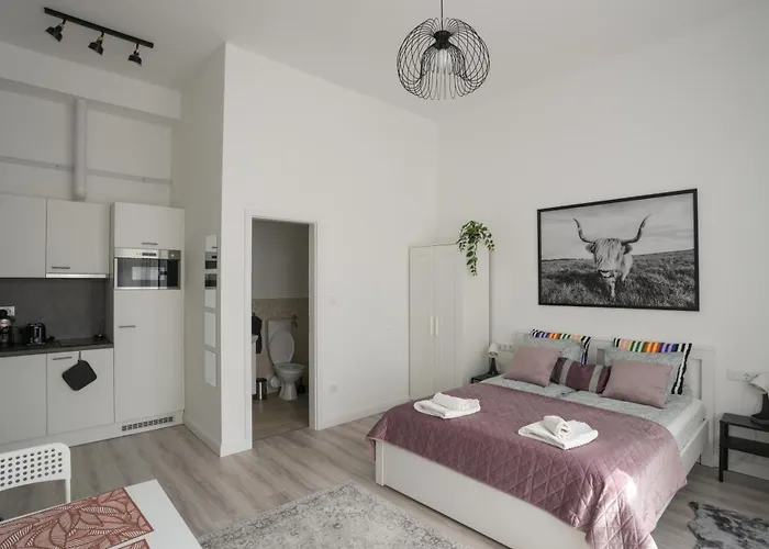 A Lovley Newly Decorated Fully Equipped Walking Distance To The Park Where Will Find The World Famous Szechenyi Thermal Bath Spa, Museums , And The Capital Circus , Ac, Smart Tv, High Speed Internet 公寓
