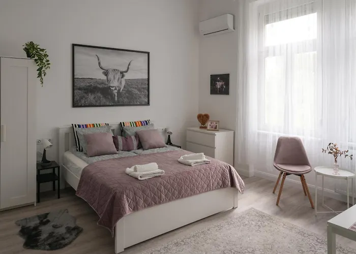 公寓 A Lovley Newly Decorated Fully Equipped Walking Distance To The Park Where Will Find The World Famous Szechenyi Thermal Bath Spa, Museums , And The Capital Circus , Ac, Smart Tv, High Speed Internet