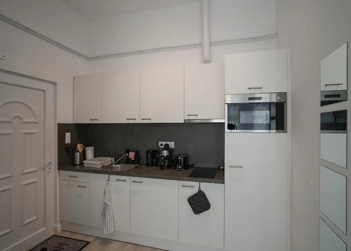A Lovley Newly Decorated Fully Equipped Walking Distance To The Park Where Will Find The World Famous Szechenyi Thermal Bath Spa, Museums , And The Capital Circus , Ac, Smart Tv, High Speed Internet 公寓 布达佩斯