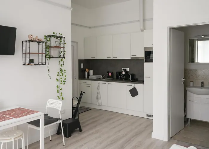 公寓 A Lovley Newly Decorated Fully Equipped Walking Distance To The Park Where Will Find The World Famous Szechenyi Thermal Bath Spa, Museums , And The Capital Circus , Ac, Smart Tv, High Speed Internet 布达佩斯