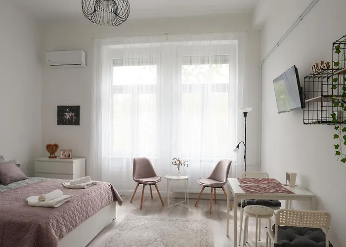 A Lovley Newly Decorated Fully Equipped Walking Distance To The Park Where Will Find The World Famous Szechenyi Thermal Bath Spa, Museums , And The Capital Circus , Ac, Smart Tv, High Speed Internet 布达佩斯