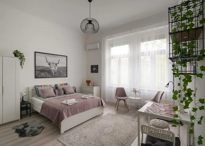 A Lovley Newly Decorated Fully Equipped Walking Distance To The Park Where Will Find The World Famous Szechenyi Thermal Bath Spa, Museums , And The Capital Circus , Ac, Smart Tv, High Speed Internet 公寓