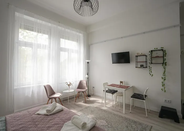 A Lovley Newly Decorated Fully Equipped Walking Distance To The Park Where Will Find The World Famous Szechenyi Thermal Bath Spa, Museums , And The Capital Circus , Ac, Smart Tv, High Speed Internet 公寓 布达佩斯
