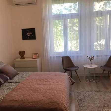 Apartmán A Lovley Newly Decorated Fully Equipped Walking Distance To The Puskas Arena ,city Park Where Will Find The World Famous Szechenyi Thermal Bath Spa, Museums , And The Capital Circus , Ac, Smart Tv, High Speed Internet Budapešť