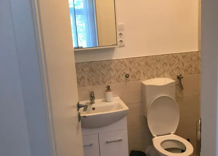 A Lovley Newly Decorated Fully Equipped Walking Distance To The Park Where Will Find The World Famous Szechenyi Thermal Bath Spa, Museums , And The Capital Circus , Ac, Smart Tv, High Speed Internet